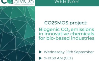 El proyecto CO2SMOS organiza su primer webinar para dar a conocer las principales acciones para mitigar el cambio climático
