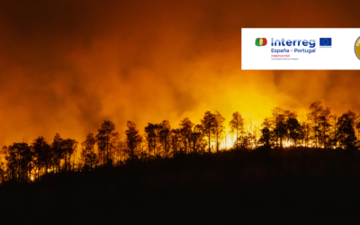 La Junta de Andalucía lanza el proyecto FIREPOCTEP contra la lucha de incendios forestales, del que forma parte CARTIF